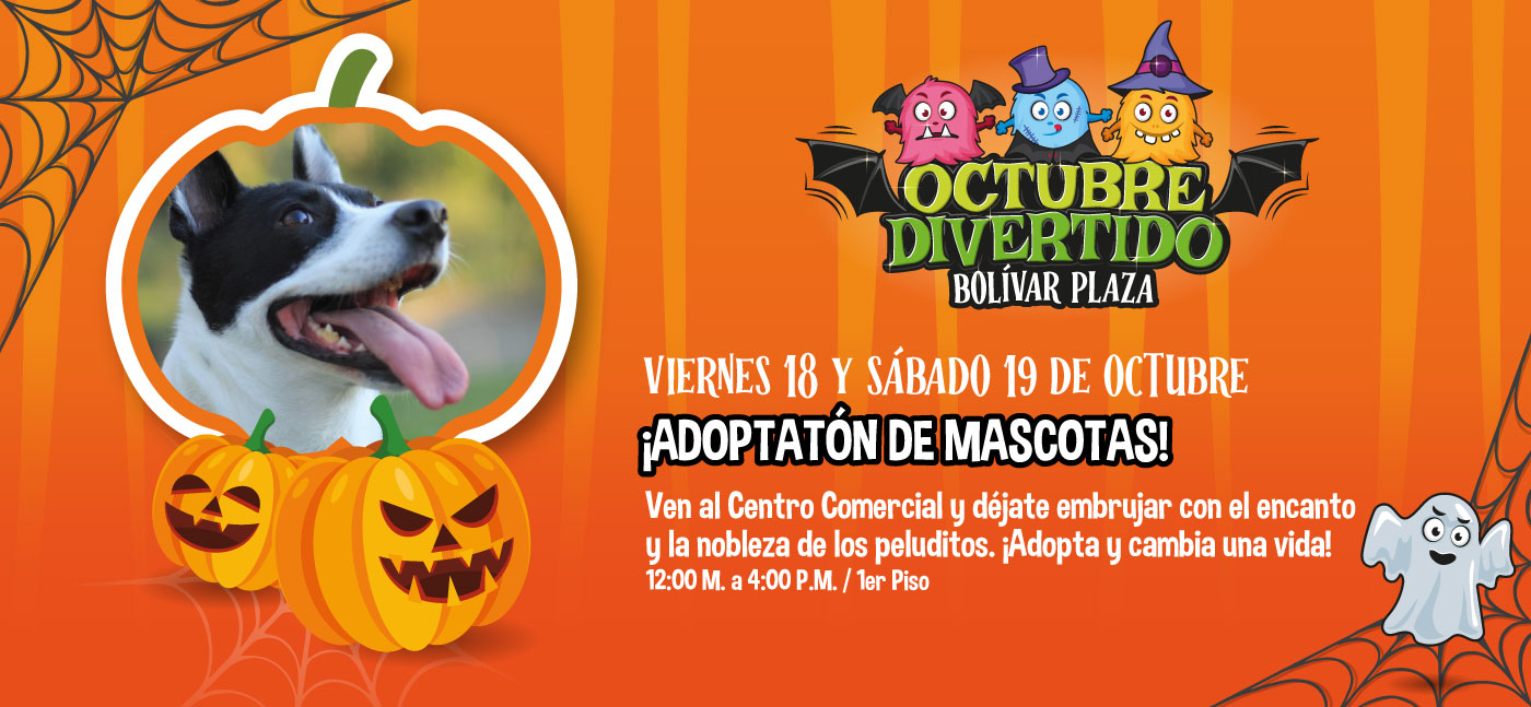 ADOPTATON MASCOTAS